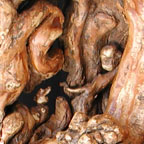 Thumbnail of interior of one of the Spirit Caves